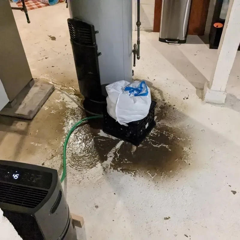 Sewage Backup Cleanup Service in Boyertown, PA